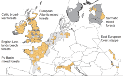 Counties depicted in yellow show where the Natura 2000 network could be expanded most cost-efficiently to close the protection coverage gaps of six ecoregions (depicted in grey shades).