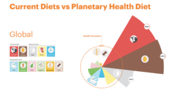 Displaying which food groups are overconsumed in current Western-style diets (pie chart) and which are the proposed guidelines from the EAT-Lancet commission for meeting a planetary health diet.