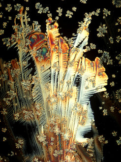 Crystals of vitamin C seen through a polarized light microscope (250x magnification). Image captured Dr. Josef Reischig, CSc.