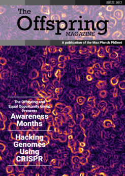 Cover of the 2017 issue of the Offspring