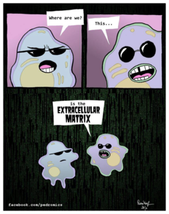 Image courtesy: facebook.com/pedromics